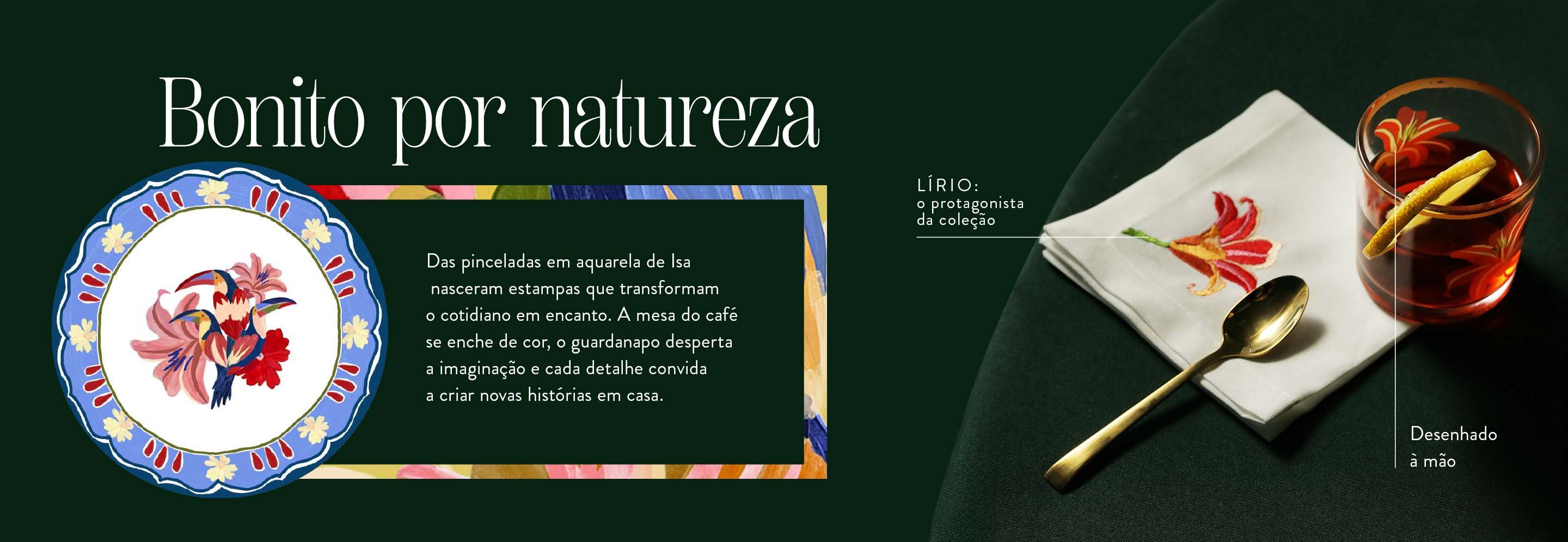 CNT_2025_ISA-DE-OLIVEIRA_DSK2wads