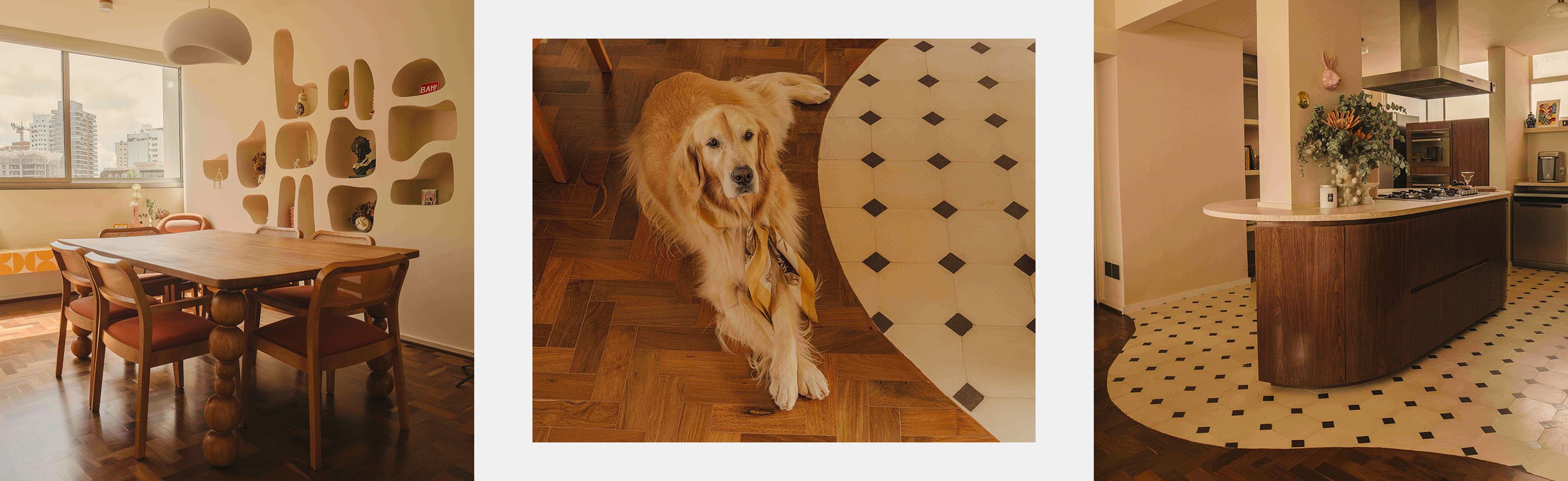 CNT_20260223_HS_SAVANA-SA_DESK_02-B