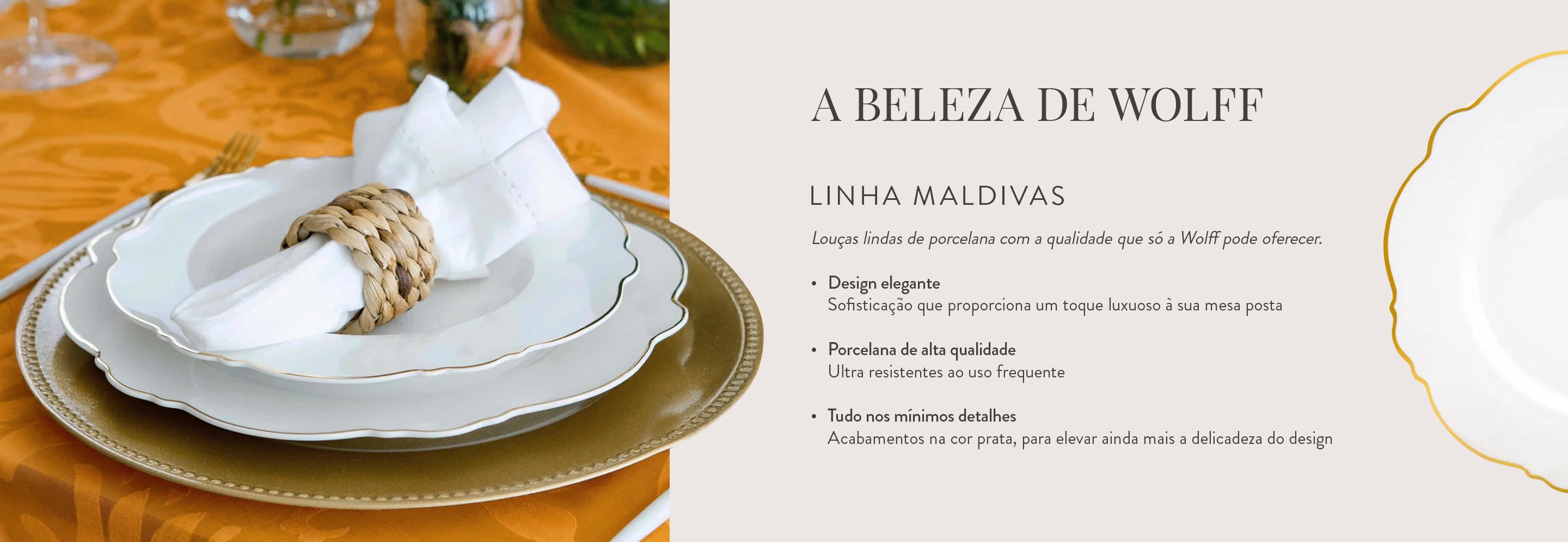 CNT_250507_WOLFF_EM_DESK