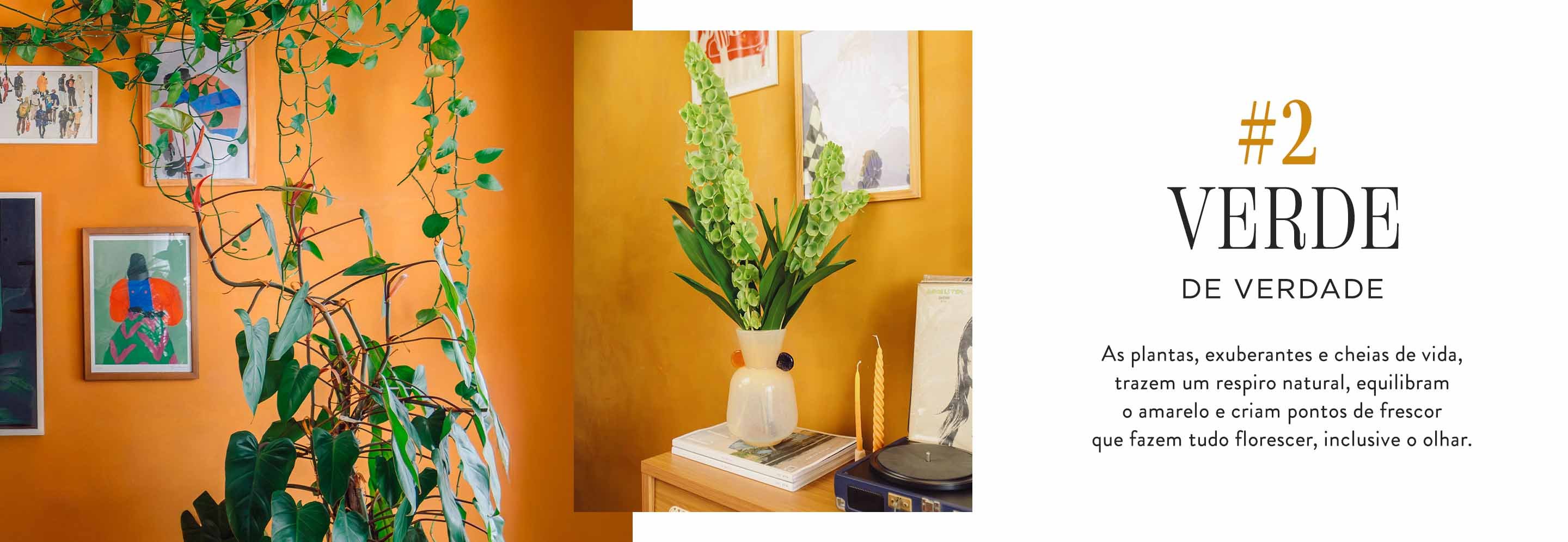 CNT_ART_2500520_HS_PAN_ALVES_DESK-2c