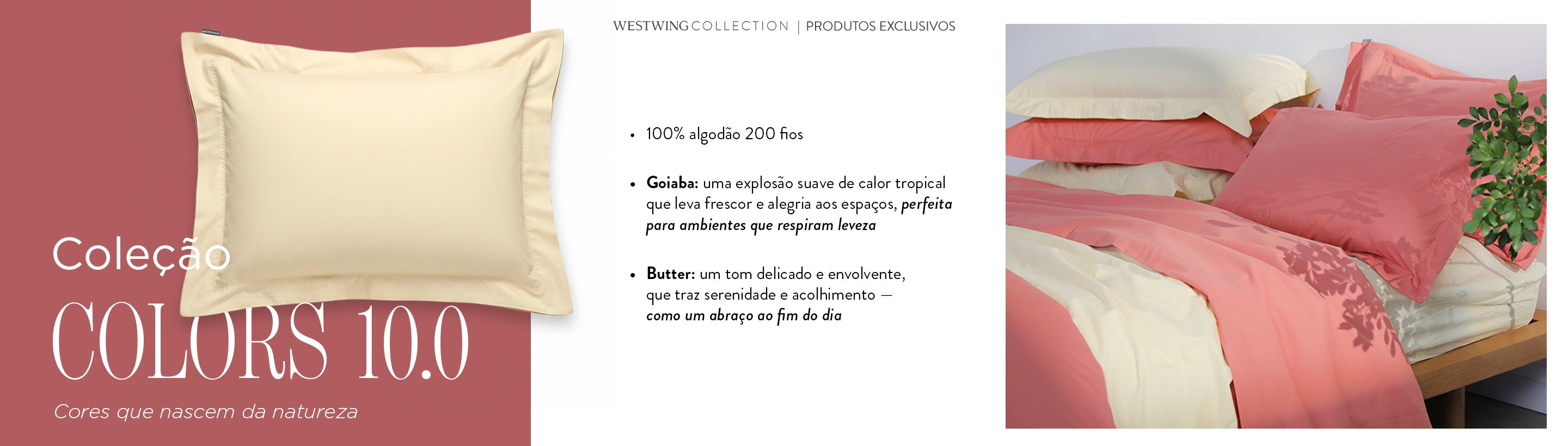 CNT_NOW_W43_CAMA_BANHO_DESK_1j