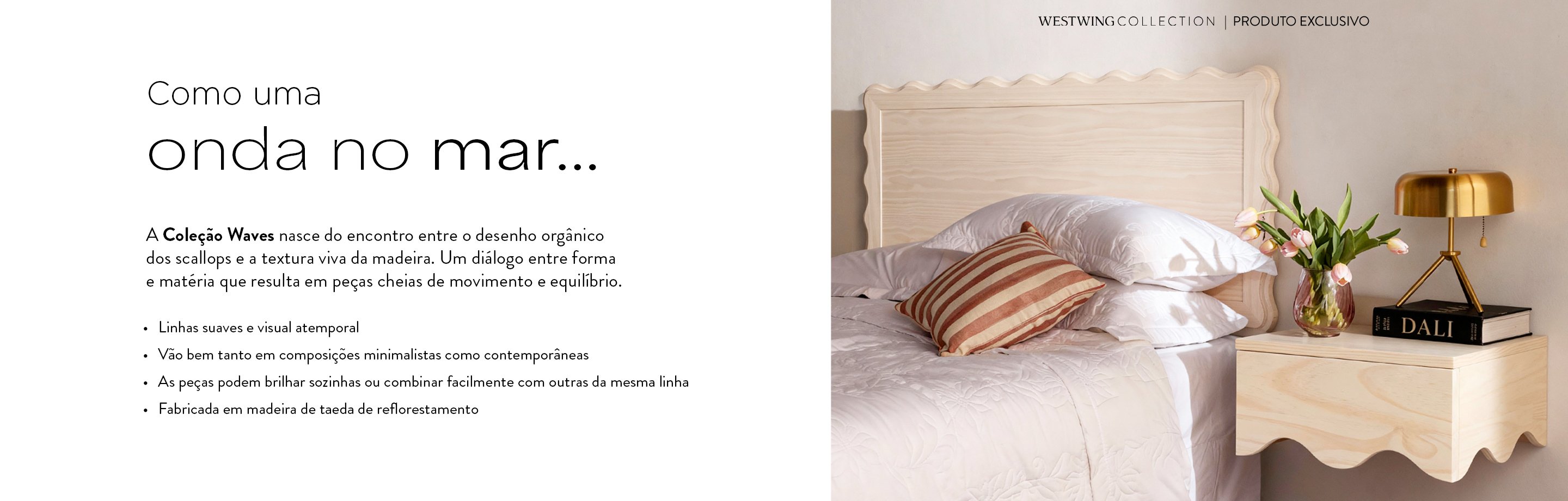 CNT_NOW_W45_SELECAO_ENTREGA_RAPIDA_DESK