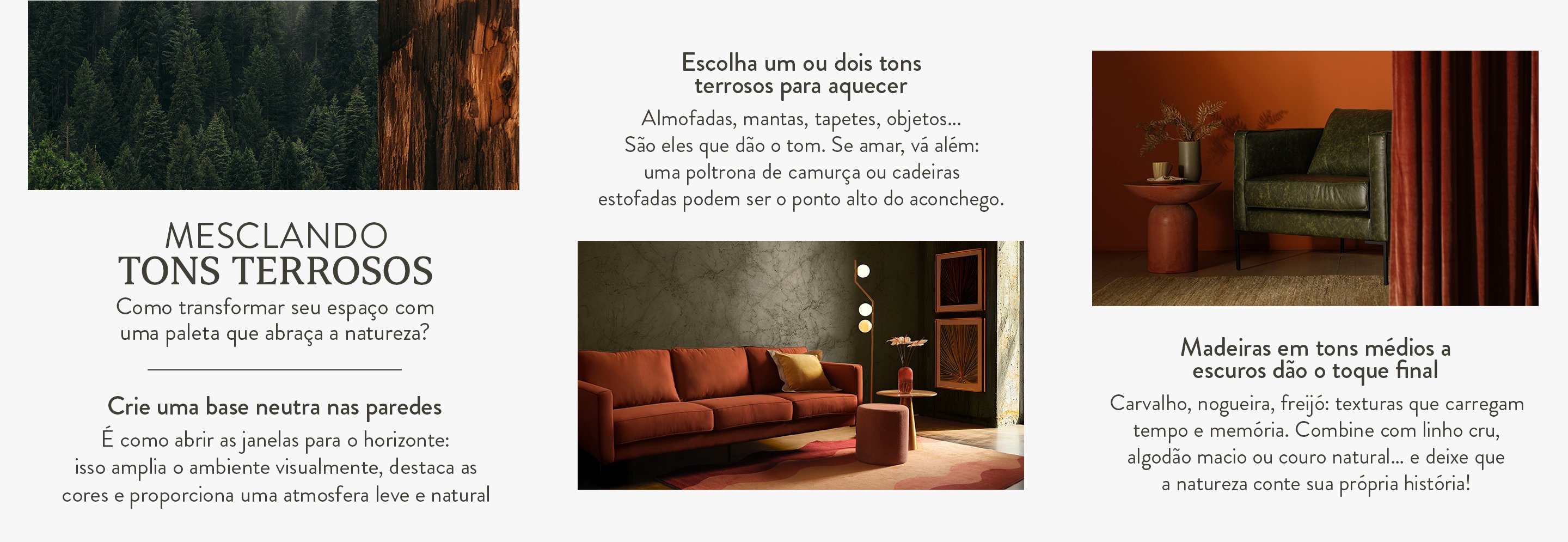 cores-que-combinam