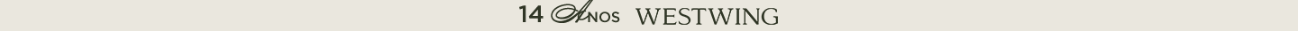 Westwing promotion