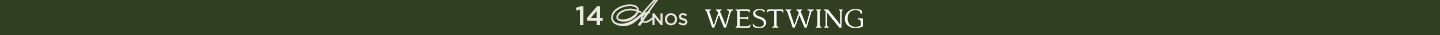 Westwing promotion