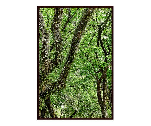 Quadro Save The Forest l