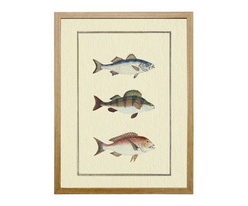 Quadro Clássico Peixes II Frejó