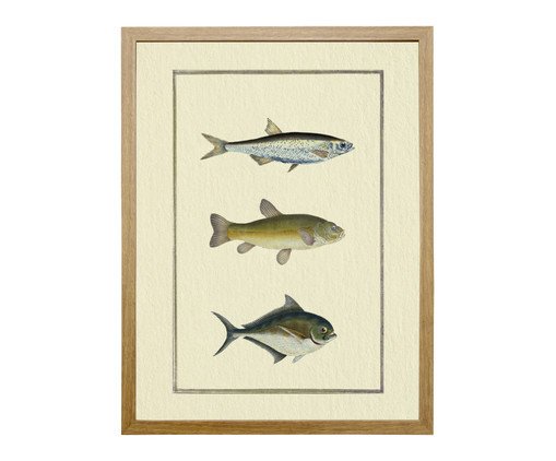 Quadro Clássico Peixes III Frejó