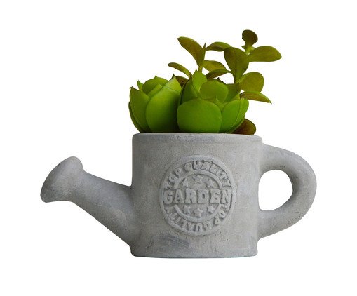 Vaso com Suculenta Regador Cinza Vaso com Suculenta Regador Cinza