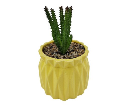 Vaso com Suculenta Amarela