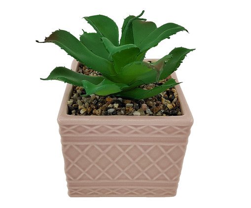Vaso com Suculenta Rosa