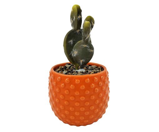 Vaso com Suculenta Laranja
