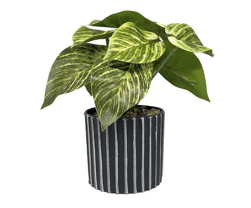 Vaso com Planta Folhagem My Garden Canelado Preto I