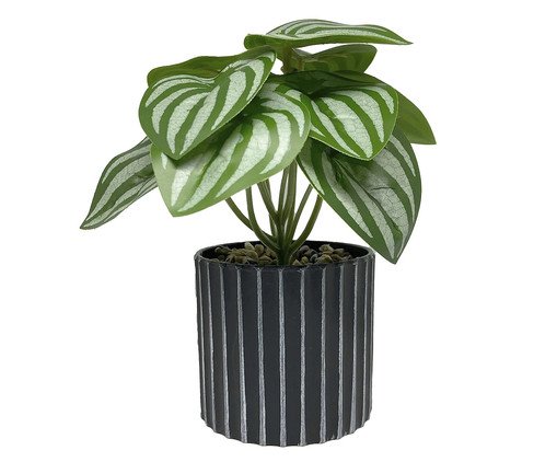 Vaso com Planta Folhagem My Garden Canelado Preto Vaso com Planta Folhagem My Garden Canelado Preto