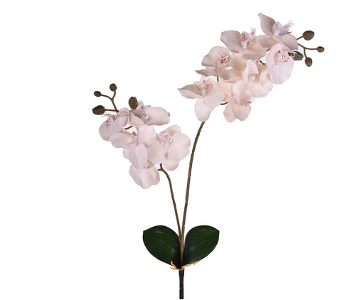 Planta Permanente Haste Orquídea com Folhas Branco