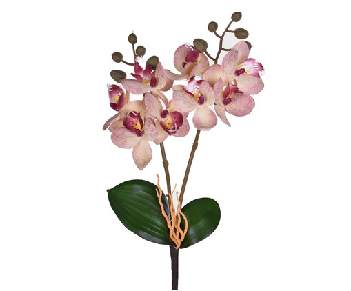 Planta Permanente Haste Orquídea - Rosa