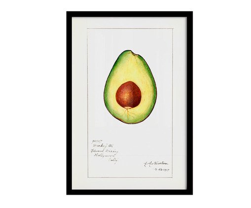 Quadro Avocado Vintage com Moldura Preta