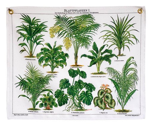 Bandeira Plantas de Folhagem