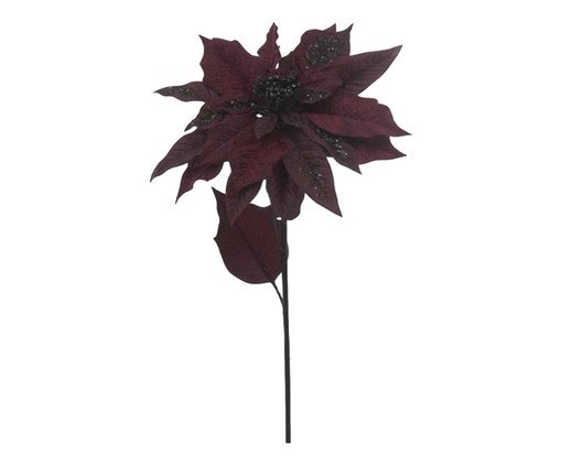 Planta Permanente Flor Natal
