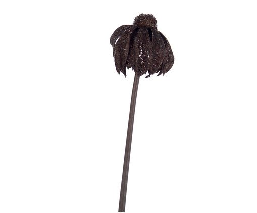 Planta Permanente Magnus