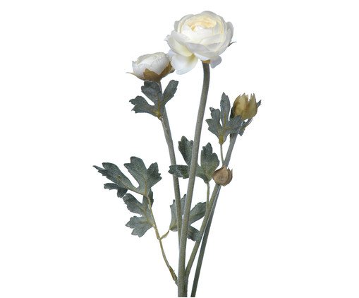 Planta Permanente Flor