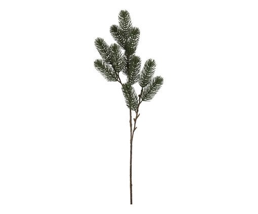 Planta Permanente Pino
