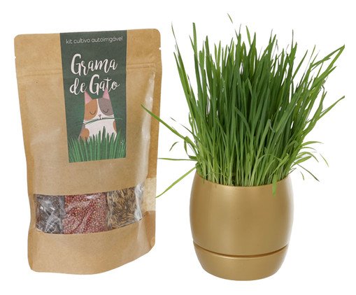 Jogo Cultivo Autoirrigavél Grama para Gato Dourado