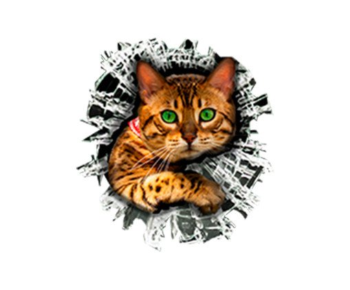 Adesivo para Vidro Externo Bengal Cat