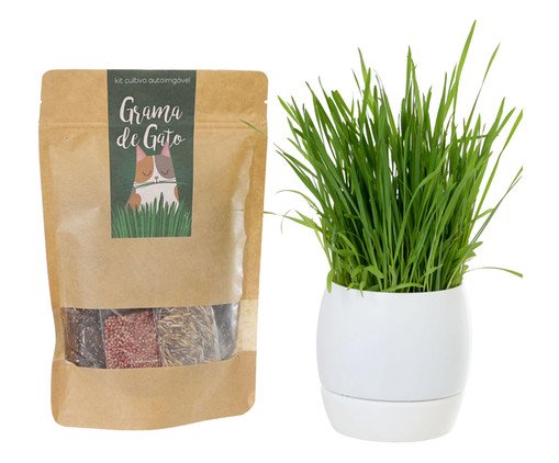 Jogo Cultivo Autoirrigavél Grama para Gato Branco Jogo Cultivo Autoirrigavél Grama para Gato Branco