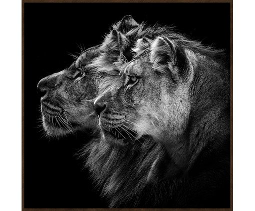 EYES OF NATURE (MD1082) - 60X60 60x60cm
