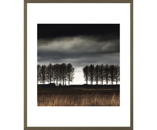 NATURE COLLECTION - MD1104 63x53cm