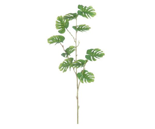 Planta Permanente Filodendro Verde