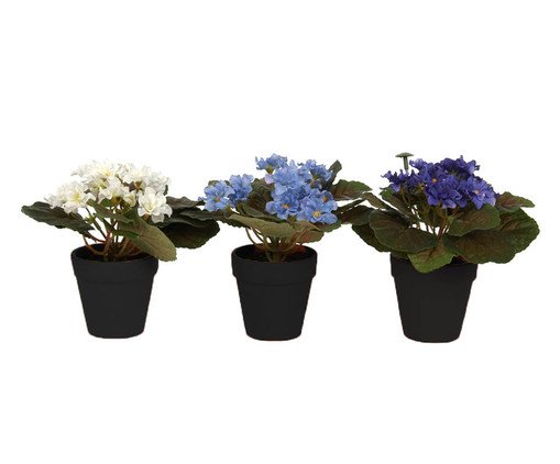 Cachepot Preto com Violeta