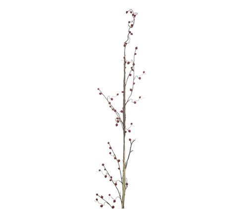 Flor Branch Berries Vermelho