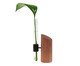 Vaso Leaf Preto, Preto | WestwingNow