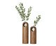 Jogo de Vasos Oca Natural, Marrom | WestwingNow