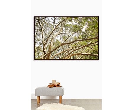 Quadro Save The Forest V | Westwing