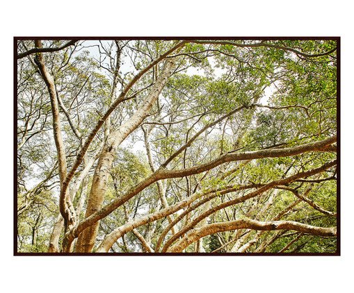 Quadro Save The Forest V, Verde | WestwingNow