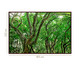 Quadro Save The Forest lV, Verde | WestwingNow