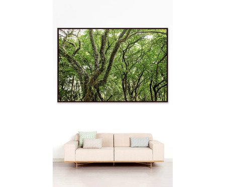 Quadro Save The Forest lV | Westwing