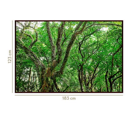 Quadro Save The Forest lV | Westwing