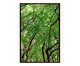 Quadro Save The Forest ll, Verde | WestwingNow
