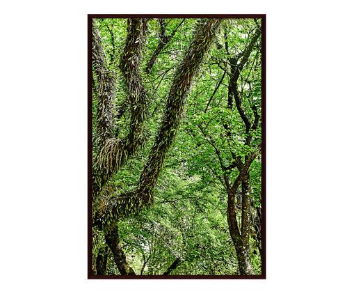 Quadro Save The Forest l, Verde | WestwingNow