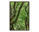 Quadro Save The Forest l, Verde | WestwingNow