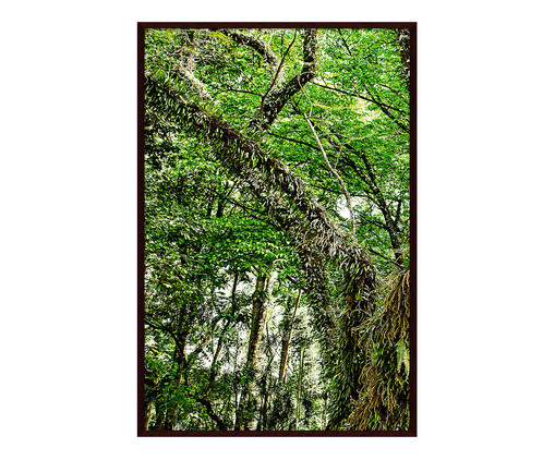 Quadro Save The Forest lll, Verde | WestwingNow