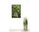 Quadro Save The Forest lll, Verde | WestwingNow