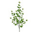 Planta Permanente Buquê Eucalípto - Verde, Verde | WestwingNow