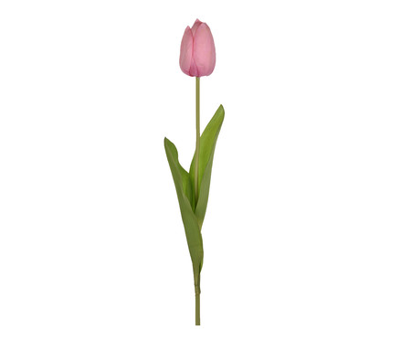 Planta Permanente Haste Tulipa Toque Real - Rosa