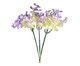Planta Permanente Haste Lavanda Lover, lilas | WestwingNow