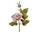 Planta Permanente Rosa e Botão Outono Rosa, Rosa | WestwingNow